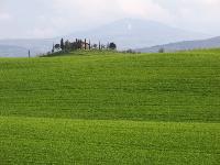 Ingrandisci in finestra separata
