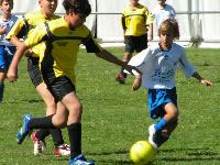 Ingrandisci in finestra separata