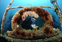 Ingrandisci in finestra separata