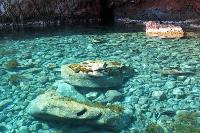 Ingrandisci in finestra separata