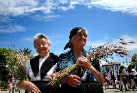 Ingrandisci in finestra separata