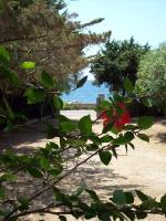 Ingrandisci in finestra separata