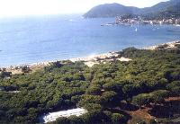 Ingrandisci in finestra separata