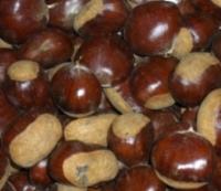 Ingrandisci in finestra separata