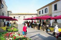 Ingrandisci in finestra separata