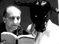 Ingrandisci in finestra separata