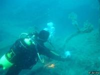 Ingrandisci in finestra separata