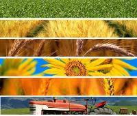 Ingrandisci in finestra separata