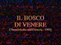 Ingrandisci in finestra separata