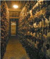 Ingrandisci in finestra separata