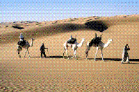 Ingrandisci in finestra separata