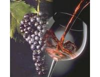 Ingrandisci in finestra separata