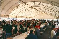 Ingrandisci in finestra separata