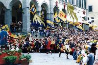 Ingrandisci in finestra separata