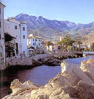 Ingrandisci in finestra separata