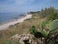 Ingrandisci in finestra separata